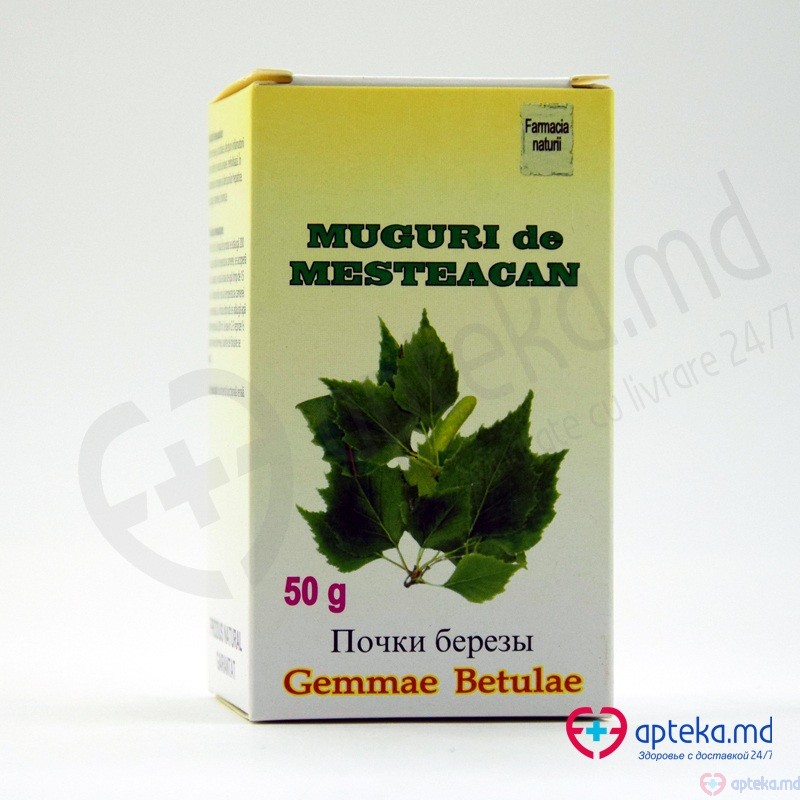 Muguri de mesteacan prod. vegetal frag.  50 g N1