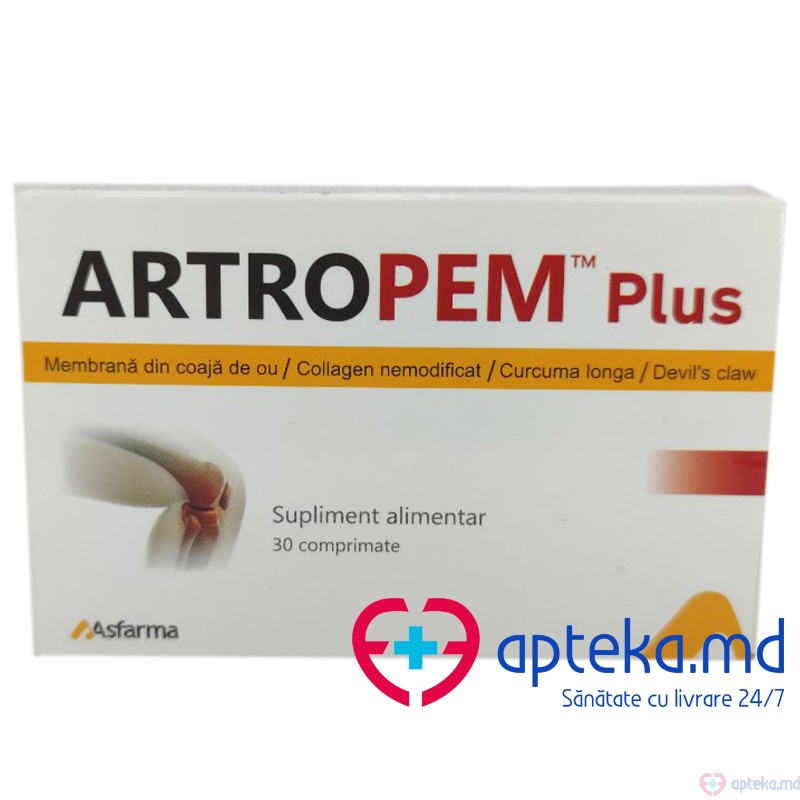 Artropem Plus comp. N30