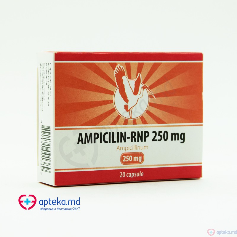 Ampicilin-RNP 250 mg caps. 250 mg N10x2