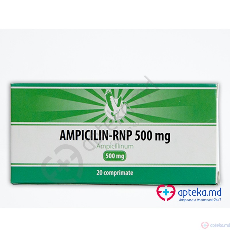 Ampicilin-RNP 500 mg caps. 500 mg N10x2